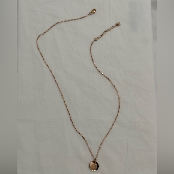 Aster Rose Gold Stainless Steel September Birth Flower Necklace Mother’s Day - Picture 7 of 8